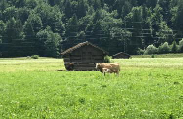 Apartment Garmisch Zugspitze - Foto 19