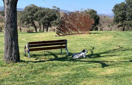 casa rural de un artista en plena naturaleza piscina y parque de esculturas en villarcayo - Photo 31