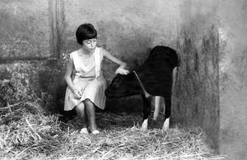 Il piccolo casale 1950 - Foto 44