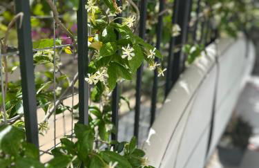 Athenian Coastal Urban Living - Foto 45