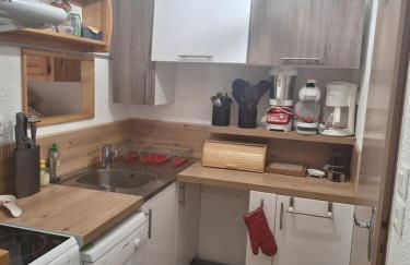 Quiet duplex with mountain view in Abondance - Foto 6