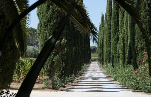 Agriturismo Tra gli Ulivi, Chiappini Winery - Photo 72