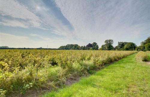 1 Bed in Deal oc-ek748 - Foto 15