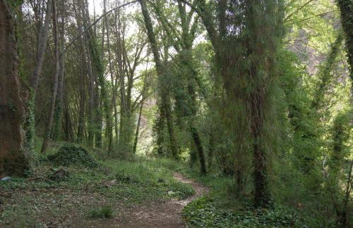 La Posada del Hidalgo de Alarcón - Foto 23