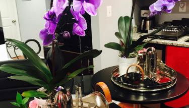 Studio H St Corridor - Photo 3