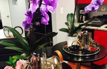 Studio H St Corridor - Foto 3