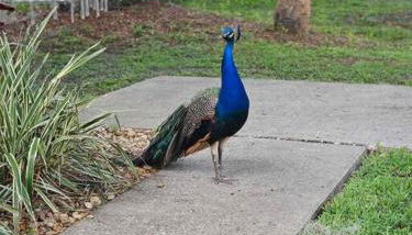 Nature Coast Getaway #1 - Cozy 2 Bedroom - Foto 4