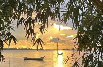 Piaça House - Piaçaguera -Pr - Foto 57