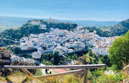 Casares Beach Golf Apartment With Private Garden Direct Pool Access - Photo 46