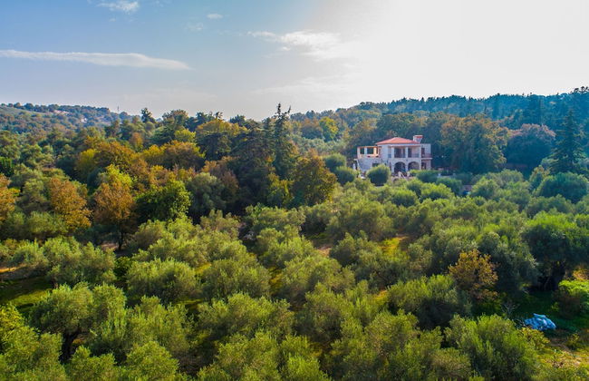 Vederi Estate - Photo 68