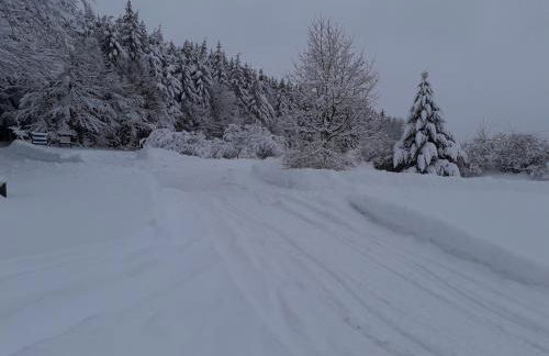 Fewo mit Fichtelberg und Keilbergblick - Foto 4