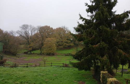 Gîte rénové mitoyen PMR, 3 chambres, terrasse, proche nature - FR-1-426-112 - Photo 14