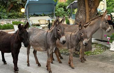 Do 8 osoba 3 sobe 2 terase - Foto 44