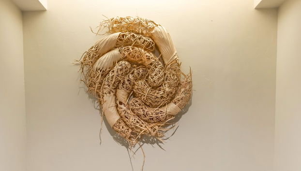 Villa Conte - Foto 2, Entrada interior