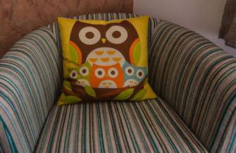 Owlswood Apartments - Foto 33