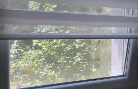 Little Diamond - Foto 7