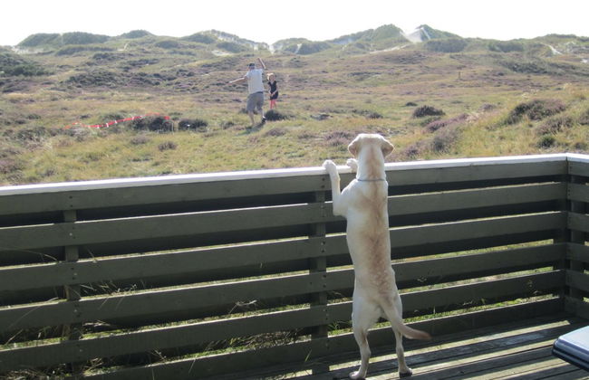 3 bedroom House in Sønderho with terrace and sauna - Photo 5