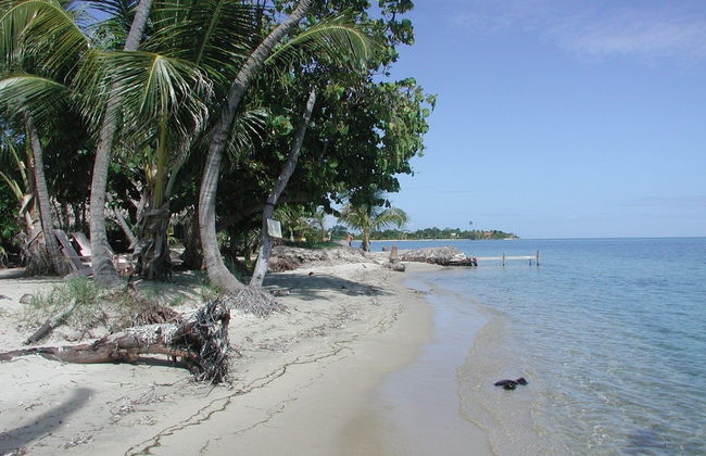 finca beach house and cabana - Foto 27