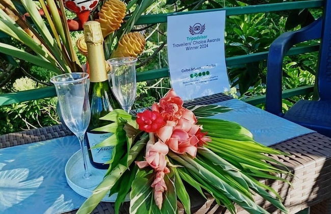 Green Jungle House - Photo 8