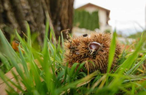 Kreuzhof links - Foto 24