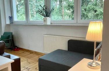 Beautiful villa with garden in Milanówek - Foto 25