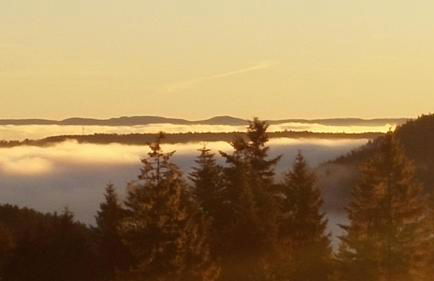 Fewo Fuchs - Foto 33