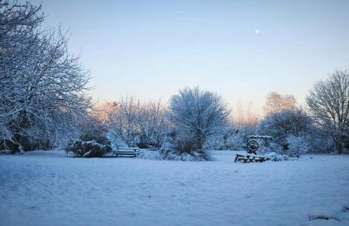 Les Deux Sources - Photo 37