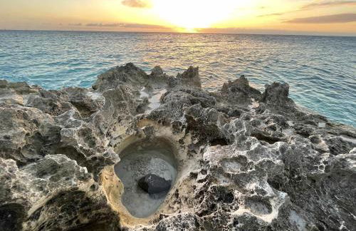 El mundo soleado - Foto 39