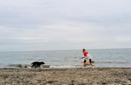 Hof am Meer "Seestern" - Foto 50