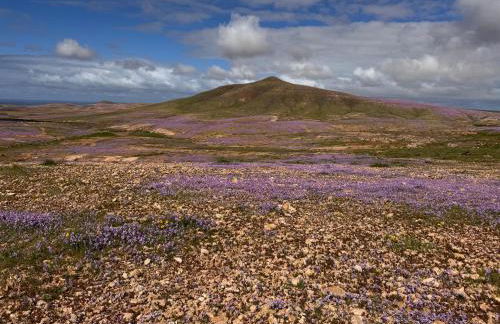 Oasis Jaylota - Foto 7