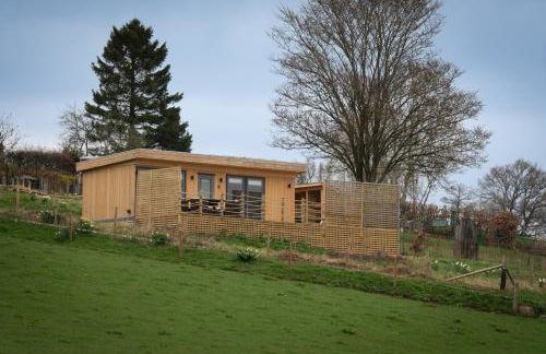 The Paddock- Loch Lomond and Trossachs - Foto 1