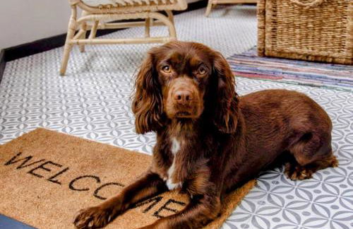 Fern Cottage, Great Strickland - Foto 17