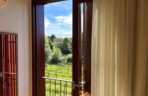 Quinta de Chousas - Braga - Agrotourism - Foto 79