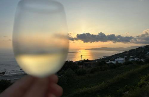 Aegean Mirror, Andros - Foto 17