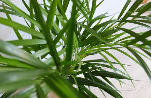 New 3 Bedroom Luxury Family Apartment - Airco, King Size Beds, Fully equipped kitchen, Balcony, Washingmachine, 2 bathrooms, Free parking, Fast Internet, 142m2 - Foto 26