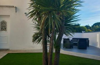 Maison Matha - Foto 4