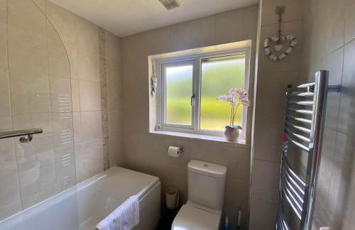 Buena Vista - Foto 18