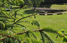 Mana Village - Jacuzzi & Sauna - Foto 19