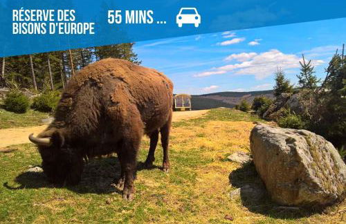 Le Roqueprins - Netflix/Wi-Fi Fibre/Terrasse - Foto 49