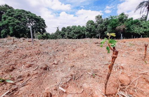 Recanto das Videiras - Casa em Vinícola - Foto 120