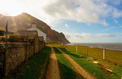 Blue - Uk43119 - Foto 15