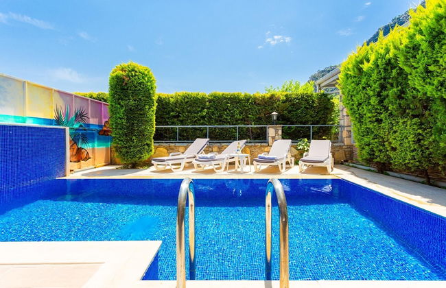 Villa Deniz Paradise - Photo 55