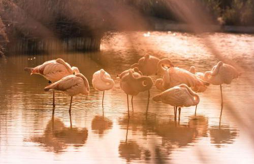 LE PTIT HONORE - Appartement 2 pers - Centre Cosy WiFi Clim Garage - Foto 29