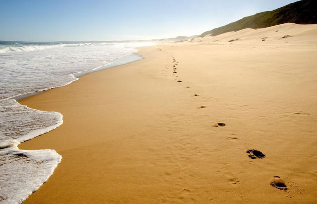 Sundowner Loft - Foto 40