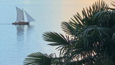 Giardini MAGNOLIA - Foto 3