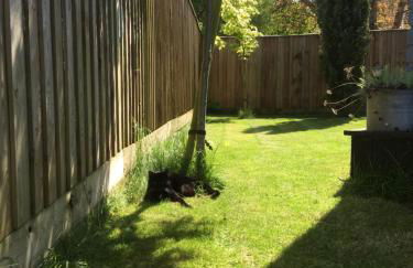 Walnut Tree Lodge - Photo 18