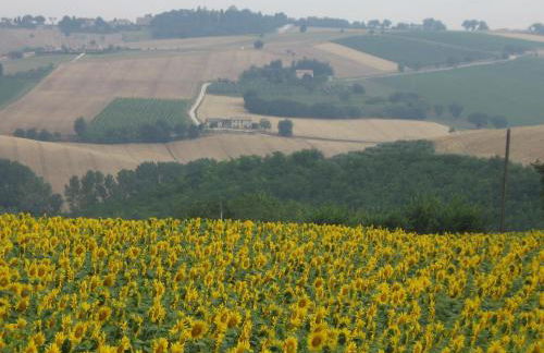 Il Giardino degli Ulivi - Foto 94