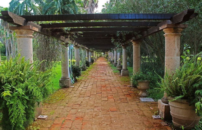 CASA INGENIO Deep Inside Los Mochis - Foto 26