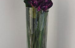 Ferienwohnungen Nahrstedt - Foto 30