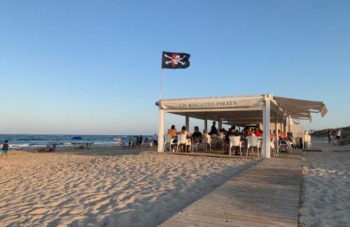 Higuericas 411 - Planta baja - vista piscina - cerca playa - Foto 22